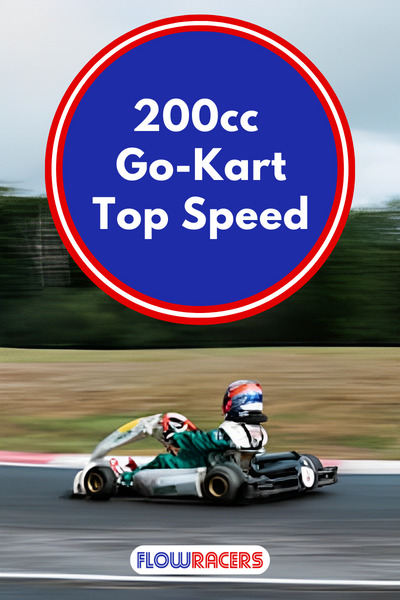 Someone driving a Tony Kart racing go-kart on a track around a right-hand corner with grass and trees in the background, 200cc Go-Kart Top Speed