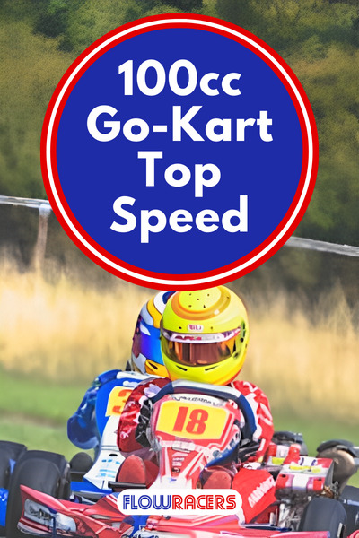 4 people in racing go-karts driving on a race track with grass and tire barriers in the background, 100cc Go-Kart Top Speed