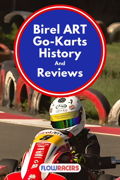 Person driving a Birel ART racing go-kart around a corner on a track over the kerb with tire barriers and grass on either side, Birel ART Go-Karts History And Reviews